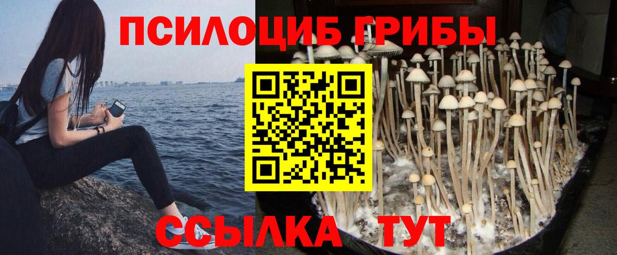 Псилоцибиновые грибы Cubensis  Псилоцибиновые грибы MAGIC MUSHROOMS  Вход с VPN  что такое   Куйбышев 